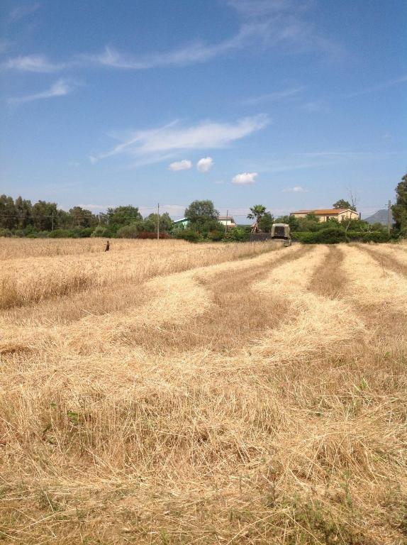 Agriturismo Il Paradiso イグレージアス エクステリア 写真