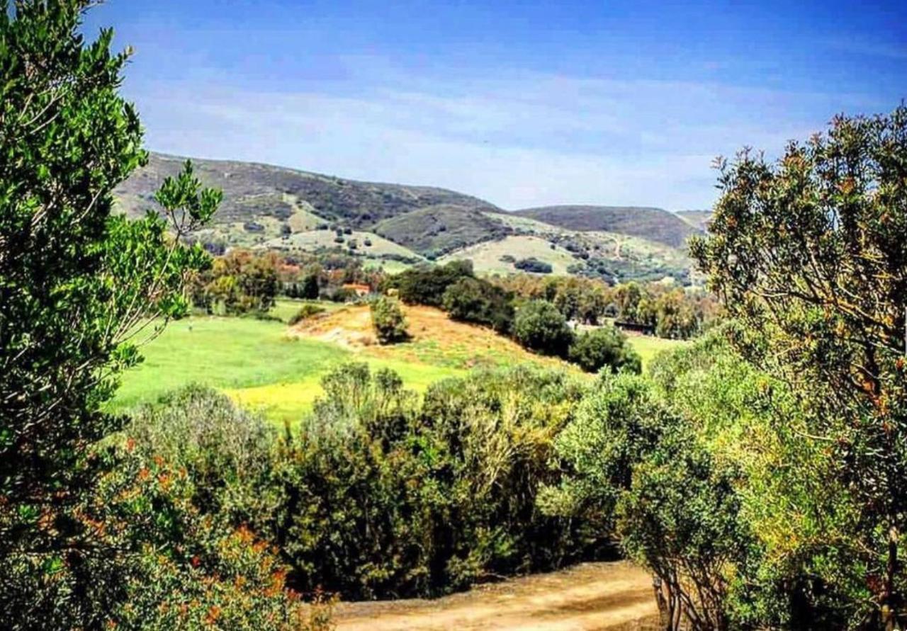 Agriturismo Il Paradiso イグレージアス エクステリア 写真